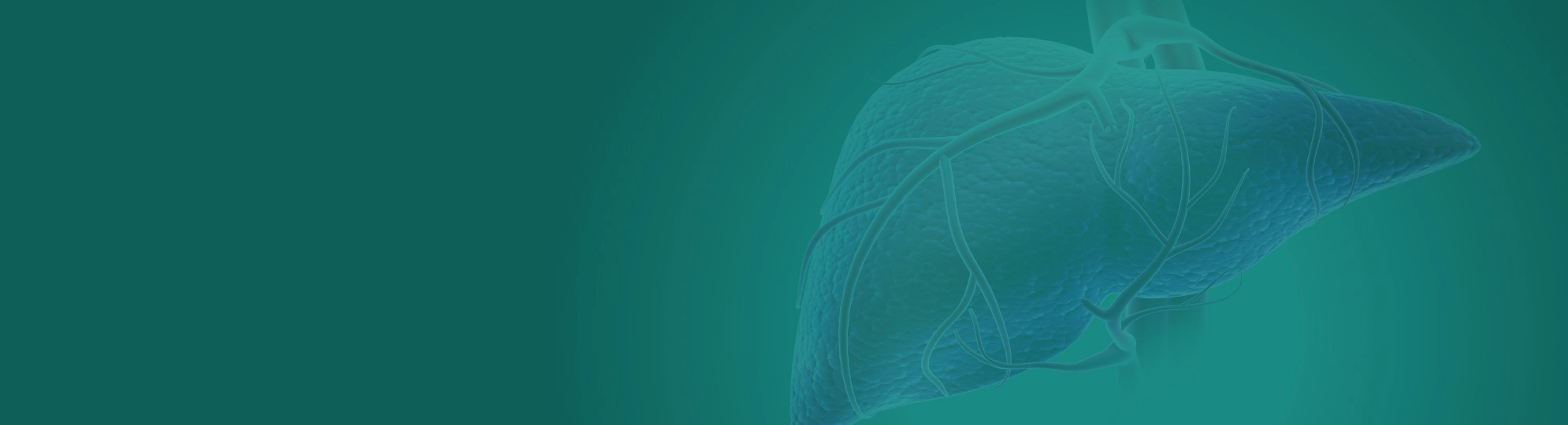 Natural Pharmaceuticals Hepactum™ FORTE maksa illustratsioon rohelisel taustal.